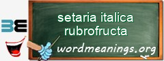 WordMeaning blackboard for setaria italica rubrofructa